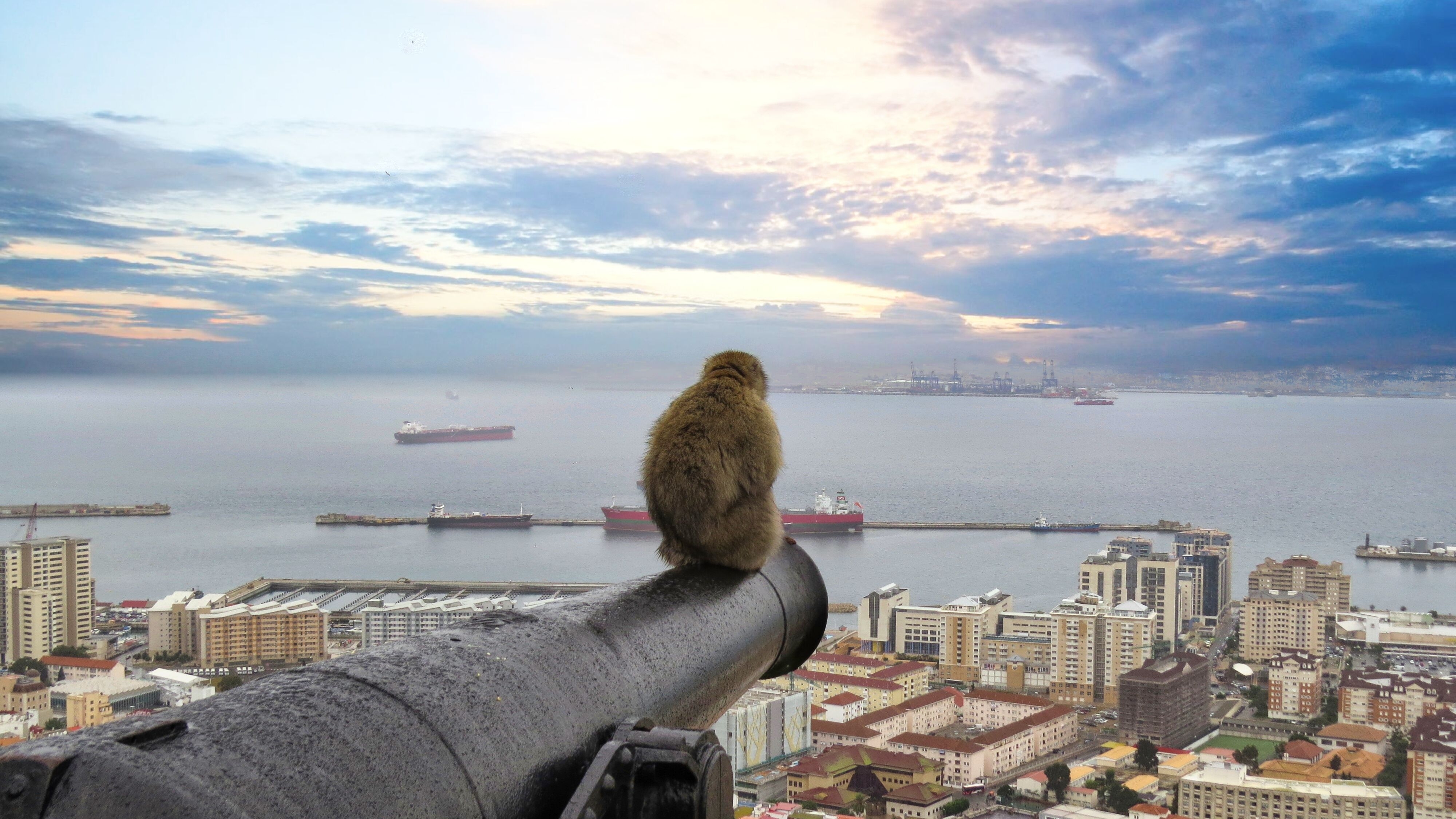 Best Time to Visit Gibraltar: Month-by-Month Guide for 2026