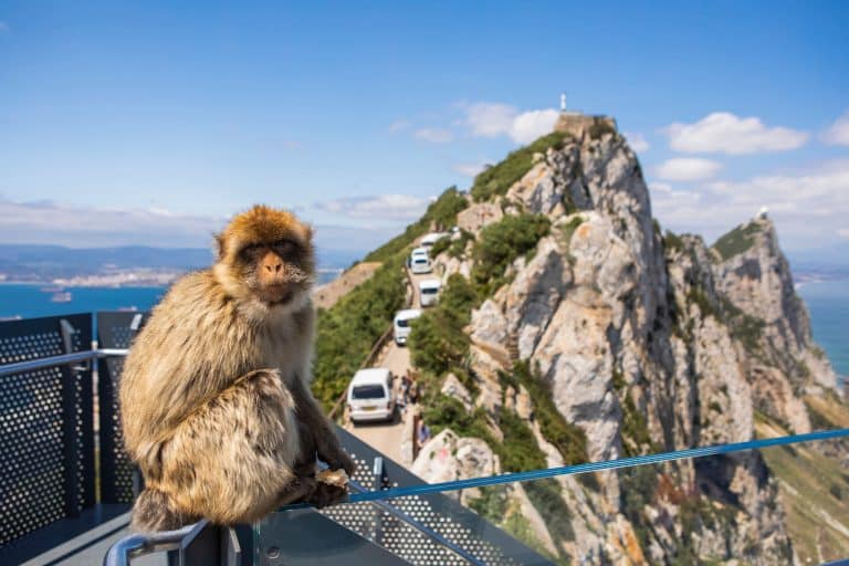 Myths vs. Reality: Debunking Common Misconceptions About Gibraltar