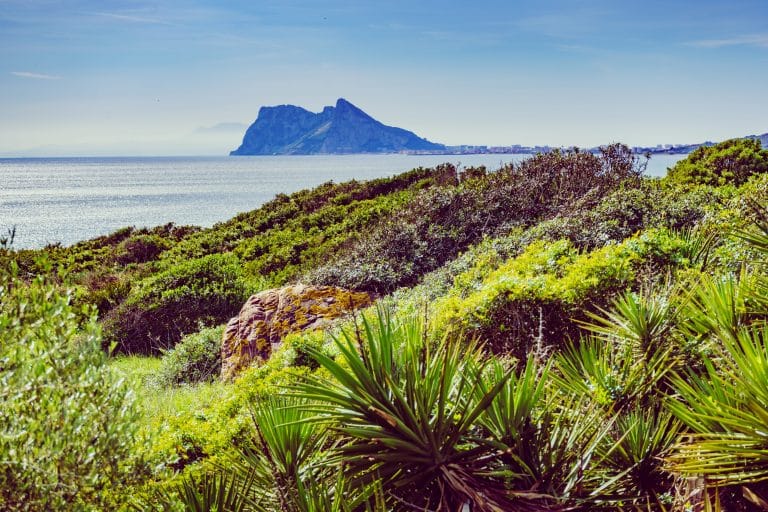 Dream Gift: A Tour to Gibraltar for Adventure Seekers