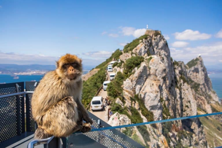 Uncharted Experience: Guided Tours for Travels in Gibraltar